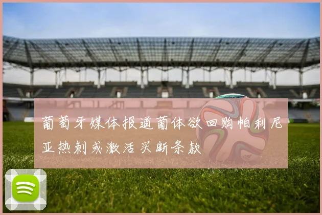 葡萄牙媒体报道葡体欲回购帕利尼亚热刺或激活买断条款