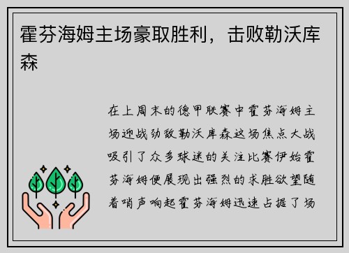 霍芬海姆主场豪取胜利，击败勒沃库森